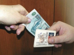 Воронежцы не хотят давать взятки за получение водительских прав