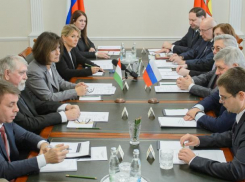 Гусев договорился с министром Венгрии о международной школе онкологии в Воронеже