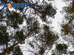 20 человек пропали без вести в Воронежской области