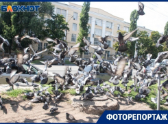 Что происходит на улице, соединяющей берега Воронежа 