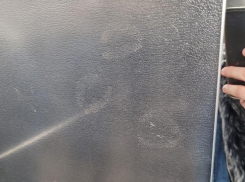 Нездоровую любовь к лифту обнаружили жильцы многоэтажки в Воронеже