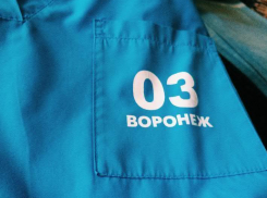 В Воронежской области из-за страшного столкновения иномарки и КАМАЗа погибли двое