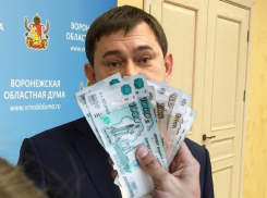 Распил продолжается: кому достались самые «жирные» контракты на пиар депутатов Воронежской облдумы