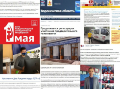 КПРФ пропустила Маевку, а ЛДПР чествовала Жириновского: чем запомнились партии в Воронеже