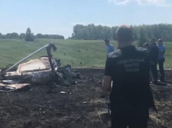 Следователи выложили видео с места падения самолёта, в котором разбилась воронежская семья 