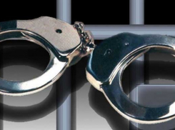 В Воронеже задержаны подозреваемые в разбойном нападении