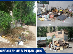 Воронежские дворы зарастают мусором из-за бездействия УК и ГЖИ?