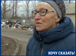 Невидимое для чиновников царство крыс отравляет жизнь воронежцев