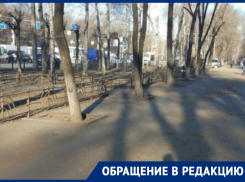 Мусорные последствия опиленных деревьев прокомментировали в мэрии Воронежа 