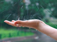 На рабочей неделе воронежцев ждут ливни и 34-градусная жара