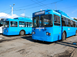 Первые троллейбусы, подаренные Москвой, вышли на маршруты в Воронеже