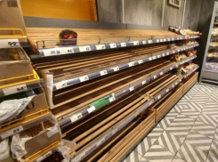 Причину пустых полок в магазинах раскрыли чиновники в Воронеже