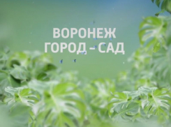 ГТРК «Воронеж» представила  фильм о международной выставке-ярмарке «Воронеж - Сад»