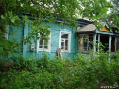 На любви воронежцев к отдыху в деревне предприимчивые дельцы зарабатывают огромные деньги