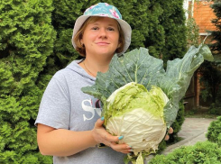 Щедрый урожай начинается с правильного выбора семян