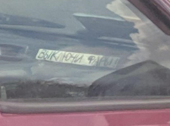 Подсказка в салоне забывчивой автомобилистки рассмешила воронежцев