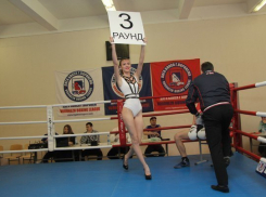 В Воронеже продолжают выявлять сильнейшего непрофессионального боксера