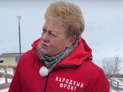 «Не на вашу, на Генеральную мне прокуратуру»: инспектор из ОНФ устроила взбучку воронежским чиновникам