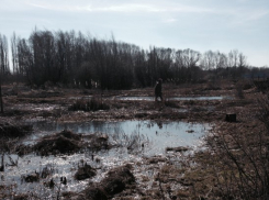 Масловка закипает