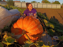 Овощи-гиганты вырастили на своем участке фермеры из Воронежской области
