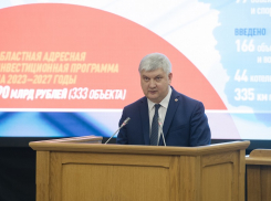 Спящие депутаты, сказочные цифры и кража года у Гордеева: чем не запомнится отчёт губернатора Гусева