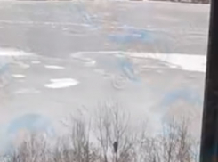 Бесстрашного рыбака показали на фото в Воронеже