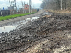 Сплошное месиво: жуткие последствия узаконенного геноцида сняли на видео под Воронежем