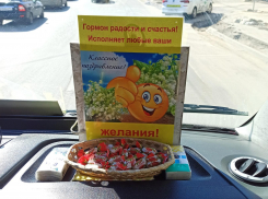 «Неужели такое бывает»: воронежцы удивились идеальности маршрутки