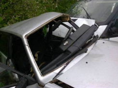 ДТП в Воронежской области: на трассе лоб в лоб столкнулись легковушка и микроавтобус 