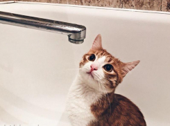 Где не будет горячей воды с 23 по 29 июня в Воронеже