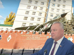 Вице-спикеру и бенефициару воронежского авторынка Олегу Черкасову подстелили соломку на выборах-2025