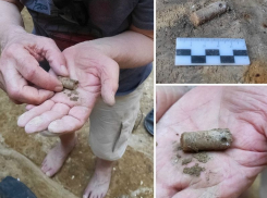 Доисторическую подвеску из древнего моллюска нашли археологи под Воронежем 