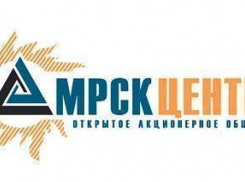 Энергетики «МРСК Центра» заплатят за смерть 6-летней Милки