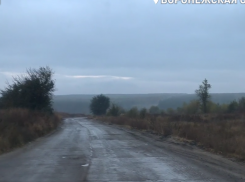 Через лес с дикими животными: страшным путем идут в школу дети в Воронеже