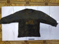 Трупы в сумке и мешках нашли в Ленинградской области: воронежцев просят опознать зверски убитую семью 