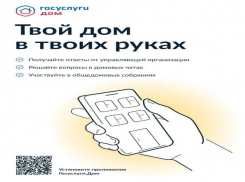 Названо приложение, с помощью которого воронежцы могут сменить управляющую компанию