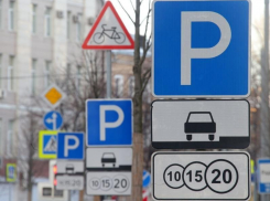 Платные парковки принесли в бюджет Воронежа 5 млн рублей