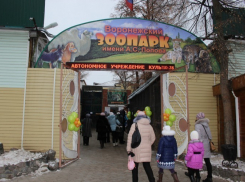 Воронежский зоопарк ищет волонтеров для уборки территории