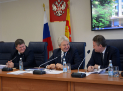 Дума запретила 5 вещей депутатам Воронежа