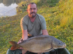 “Еще один трофей”: супер-карпа весом 15 кг поймали в Воронежской области