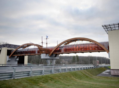 Водителей предупредили о новых ограничениях на воронежской трассе 