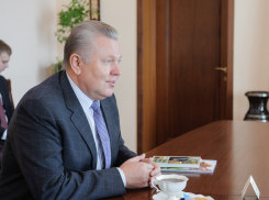 К развитию набережной Воронежского водохранилища привлекут питерских специалистов 