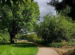 С 1 июля по 31 августа жители области смогут выбрать растение, символизирующее регион