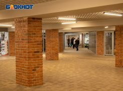 Как преобразился подземный переход у цирка, рассказали воронежцы