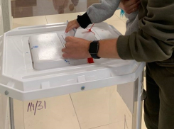 Аномальную разницу в явке заметили на выборах губернатора Воронежской области