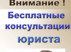 В Воронеже открывается бесплатная юридическая онлайн-консультация