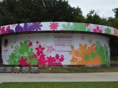 В Воронежском центральном парке начались работы по монтажу экспозиций фестиваля «Город-Сад»