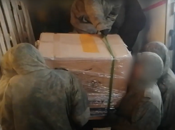 Видео: в зоне СВО выгружают помощь от воронежского правительства 