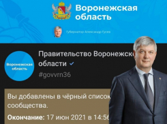 Правительство Гусева «кинуло» в ЧС воронежца за жалобы на бардак коммунальщиков  