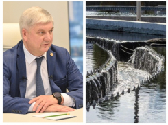 «Там всё серьёзно»: Александр Гусев будет настаивать на возбуждении уголовного дела из-за вони в Воронеже